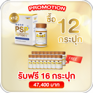 ซื้อ 12 รับฟรี 16